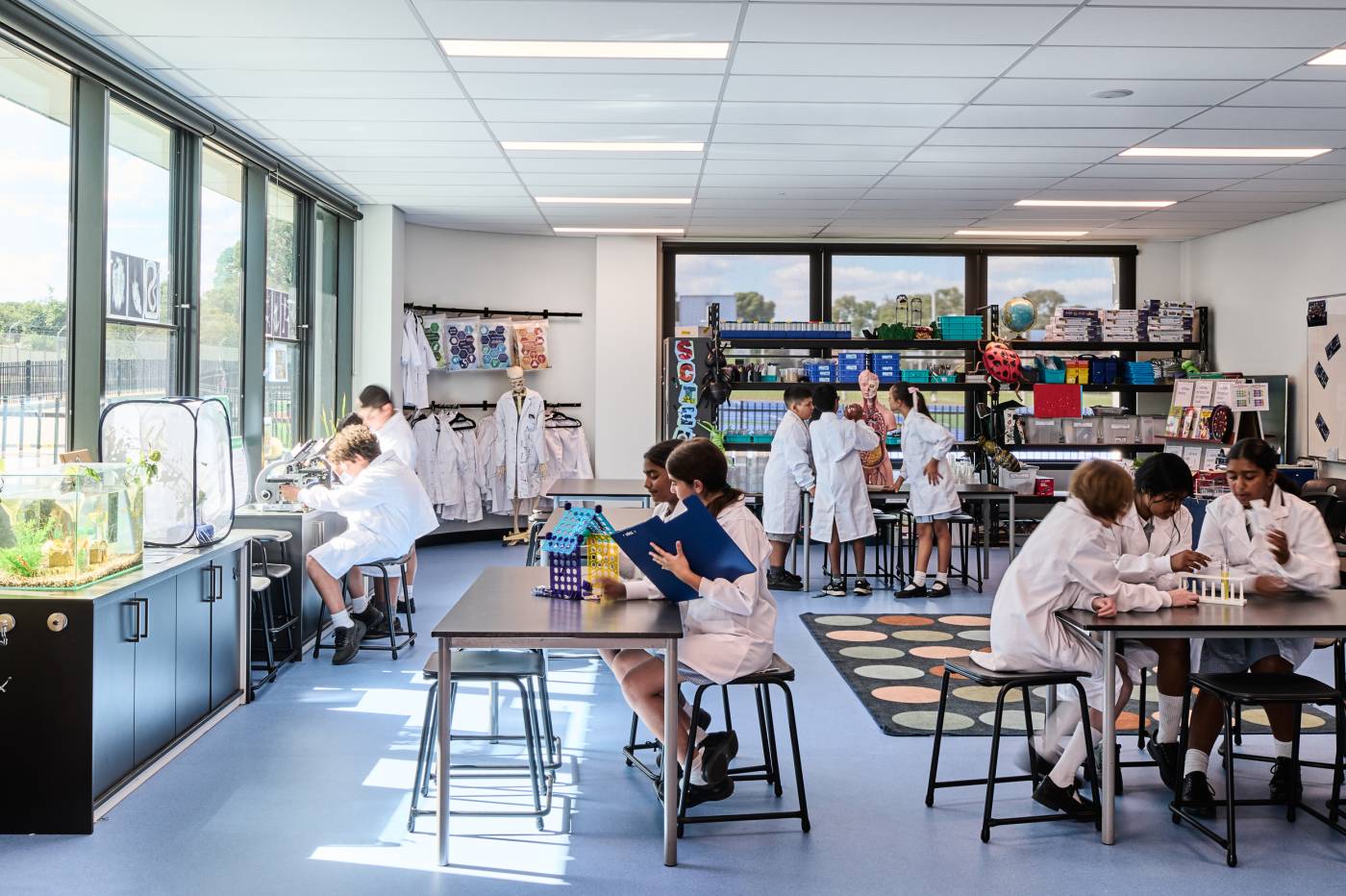 STEAM Science